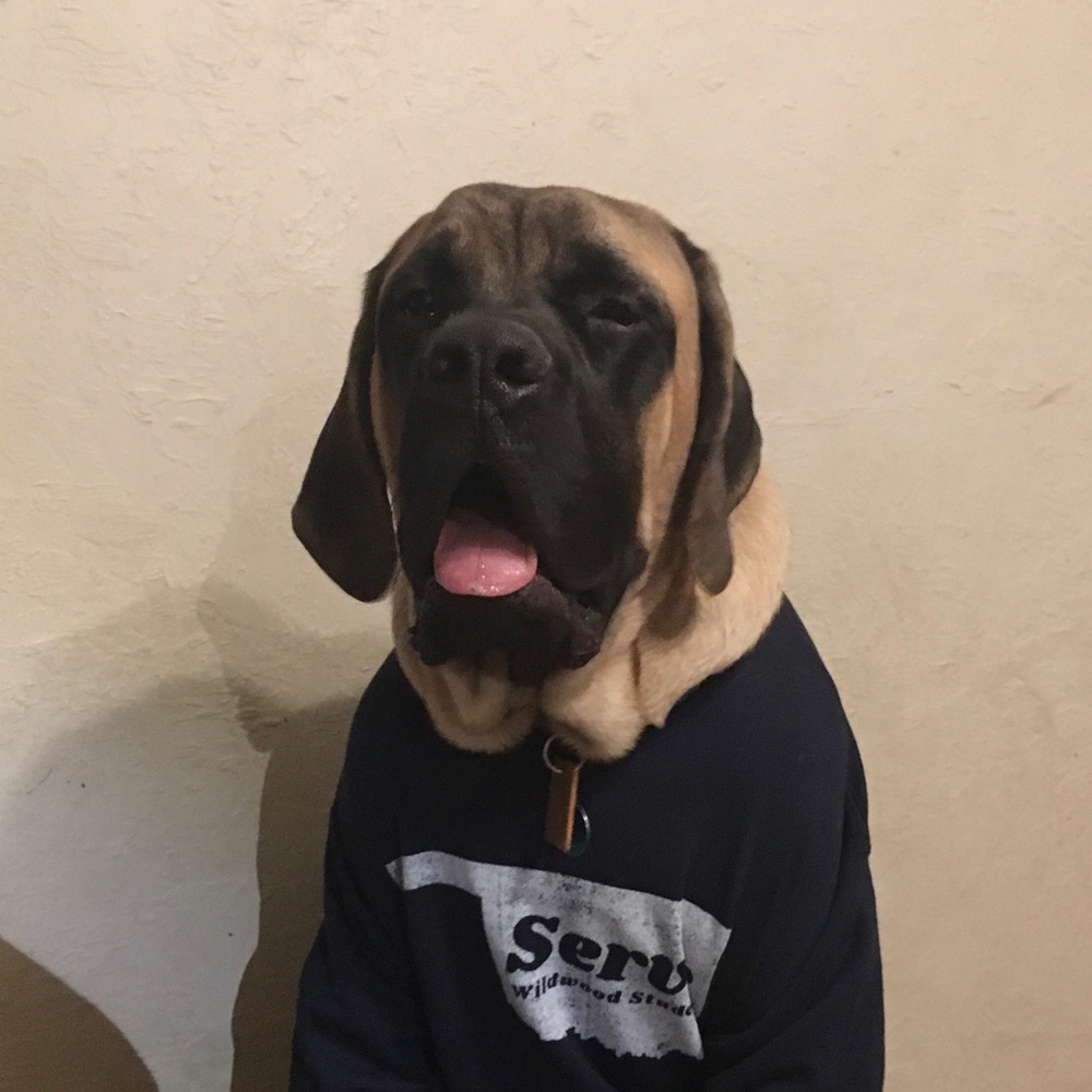 Meet your Posher, Braden